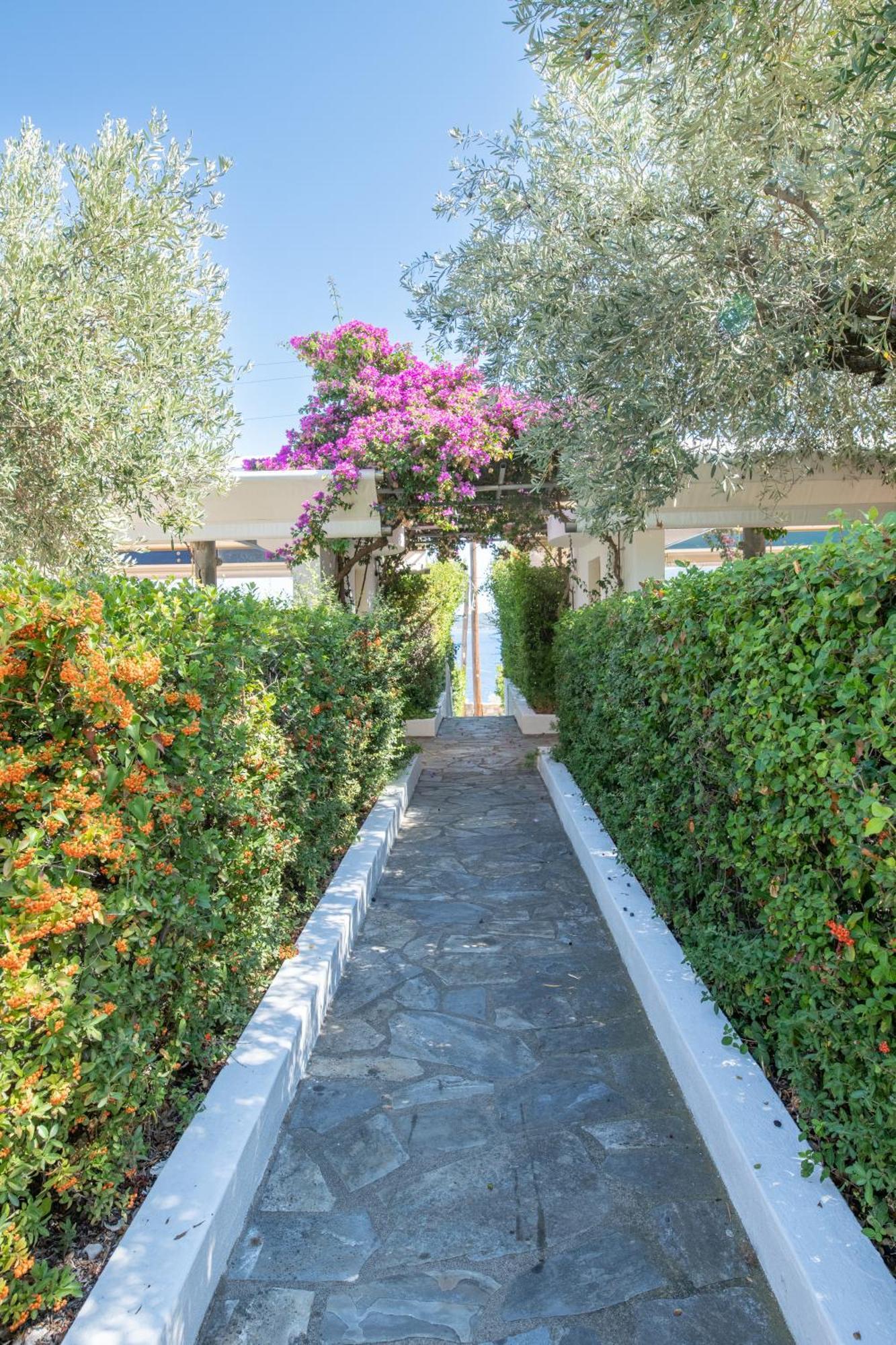 Elea Villas Steni Vala Alonissos ภายนอก รูปภาพ