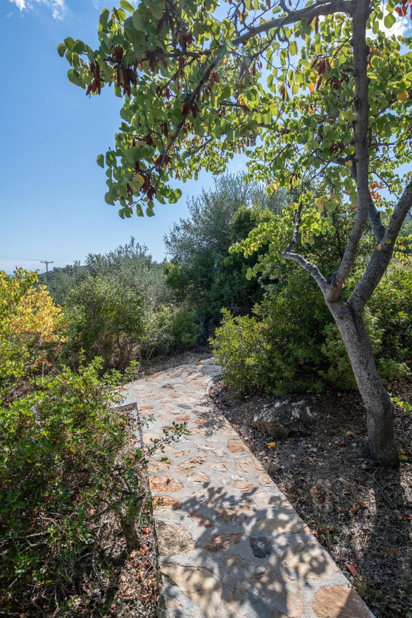 Elea Villas Steni Vala Alonissos ภายนอก รูปภาพ